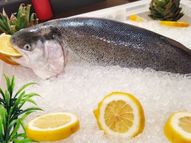 Buzlu limonlu çiğ somon resmi.