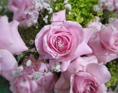 Güzel pembe güllerin resmi.