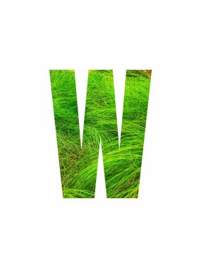 Yeşil çimen desenli büyük W harfi, beyaz üzerine izole edilmiş.