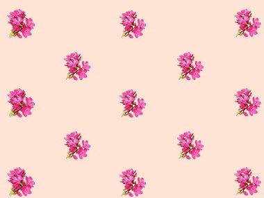 Small pink flowers pattern, isolated on peach color background