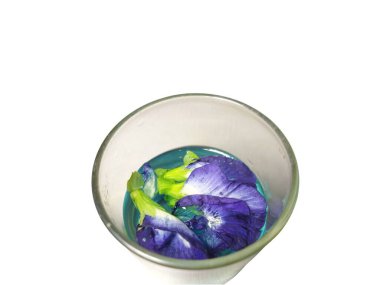 Kelebek bezelyesi ya da Klitorya çiçeği sıcak su üzerinde beyaz arka planda izole edilmiş, berrak bir bardağın içinde.