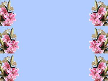 Mavi arkaplanda pembe çiçek aranjmanı var. Duvar kağıdı, arkaplan veya kart için