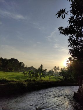 akan nehir ve pirinç tarlaları güneşin arka planında sabah yeni doğuyor.
