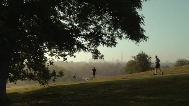 遛狗的人和慢跑的人在阳光下欣赏樱草山 照相机慢吞吞地驶进了伦敦的邮电楼 — 图库视频影像