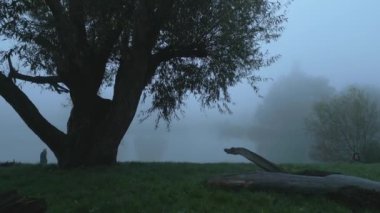 Adam köpeğini sisli bir sonbahar sabahı Hampstead Heath 'de bir gölün yanında gezdirir. İnsansız hava aracı söğüt yapraklarının arasından geçiyor, sakin gölde dinlenmek için geliyor..