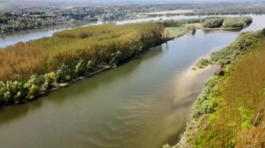 Ormandaki nehrin havadan görünüşü