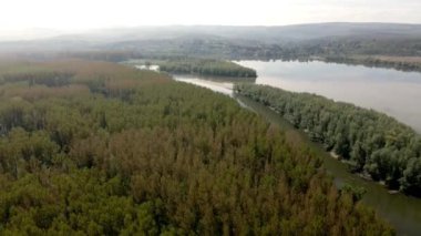 Tuna Nehri kıyısındaki bir ormanın insansız hava aracı görüntüleri.