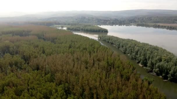 Безпілотні Кадри Лісу Березі Річки Дунай — стокове відео