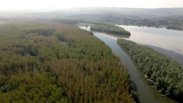 Filmagem Aérea Uma Floresta Uma Costa Rio Danúbio — Vídeo de Stock