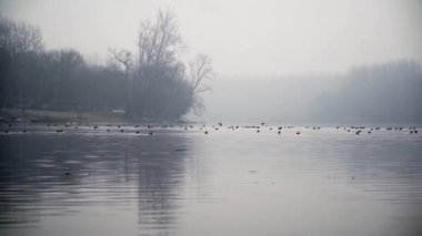 Sabah sisli göl