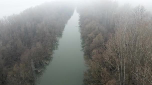 森林中的雾气的空中录像 — 图库视频影像