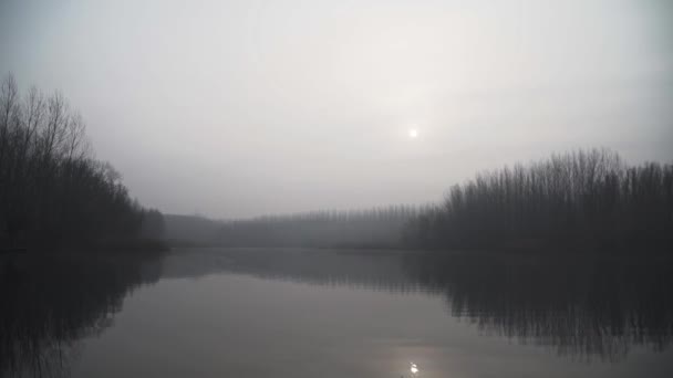 在晨雾中湖 — 图库视频影像