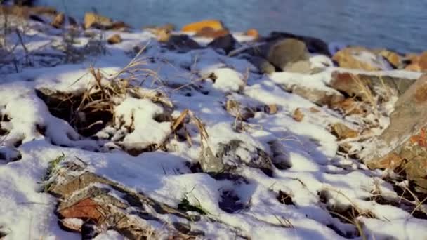 Göl Kıyısında Karla Kaplı Kayalar — Stok video
