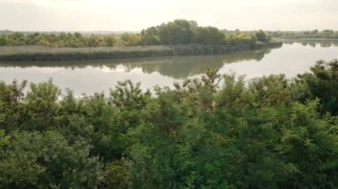 Nehir ve ağaçlarla dolu güzel bir manzara