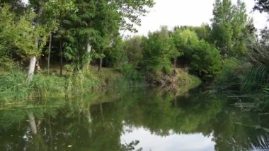 Parktaki nehir