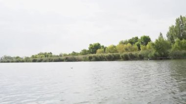 Doğanın güzel manzarası