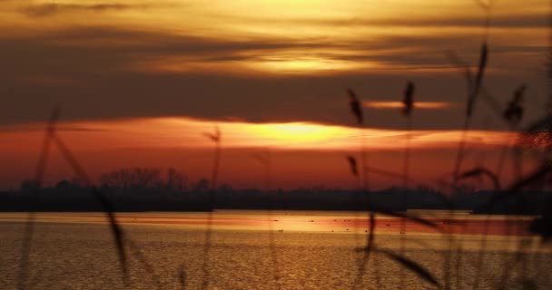 湖上多彩的冬日日出 — 图库视频影像