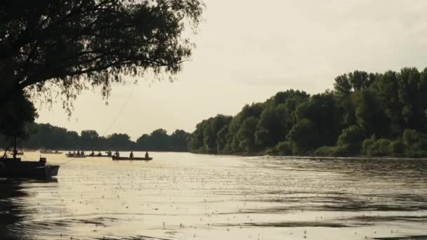 人们乘小船在蒂萨河上航行 而长尾象则四处飞 成群结队 — 图库视频影像