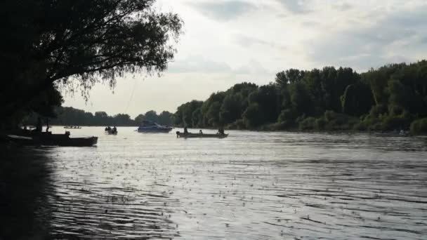 Mensen Die Kleine Bootjes Varen Tisza Rivier Terwijl Langoeststststaartjes Rondvliegen — Stockvideo