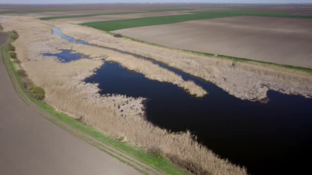 Flygfoto Över Floden Våren — Stockvideo