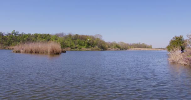 Jezero Rákosím Modrou Vodou Jarní Sezóna — Stock video
