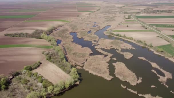 Voyvodina Bulunan Kraljevac Bir Gölün Havadan Çekilmiş Görüntüleri — Stok video