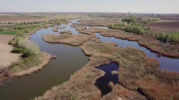 Images Aériennes Lac Dans Une Réserve Naturelle Kraljevac Voïvodine Prise — Video