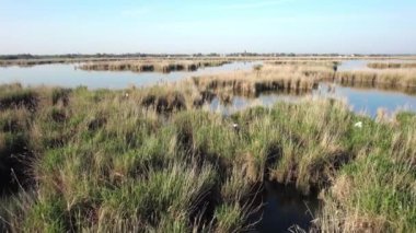 Doğa parkındaki güzel nehir