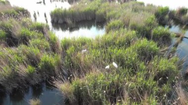 Doğa parkındaki güzel nehir