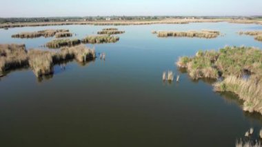 Kırsal kesimde bir göl manzarası