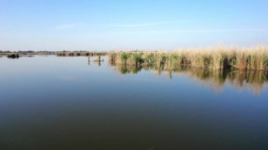 İlkbaharda nehir manzarası