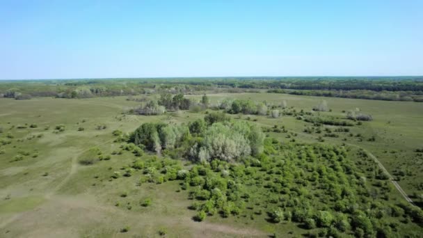 Luftaufnahme Der Felder Des Waldes Und Des Dorfes Frühling — Stockvideo