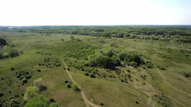 Baharda Yeşil Orman