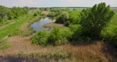 Küçük bir nehir manzarası