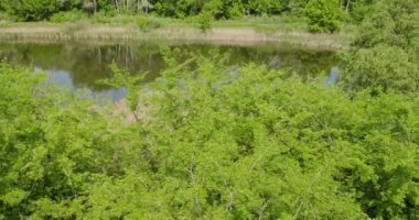 Parkın güzel manzarası