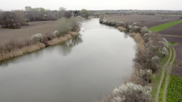Detta Hisnande Drönarskott Fångar Den Förtrollande Skönheten Flod Som Graciöst — Stockvideo