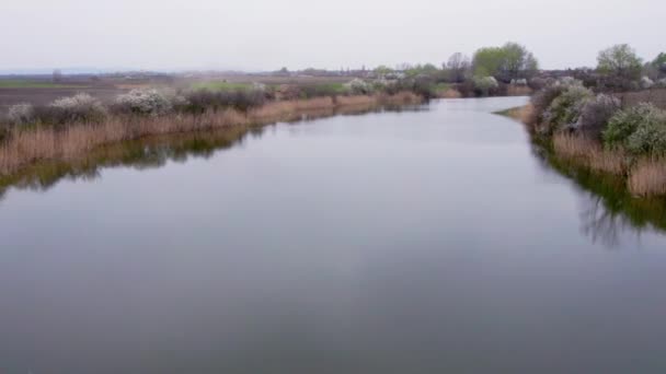 Denna Fängslande Video Ger Ett Unikt Perspektiv Att Kan Flodens — Stockvideo