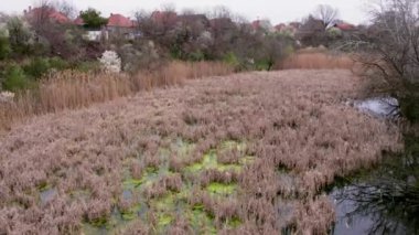 Bu büyüleyici video gölün dolambaçlı güzelliğini kuşbakışı görmenizi sağlayan eşsiz bir perspektif sunuyor..