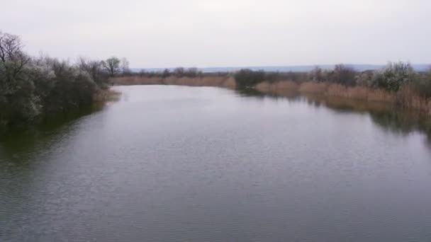 Denna Fängslande Video Ger Ett Unikt Perspektiv Att Kan Flodens — Stockvideo