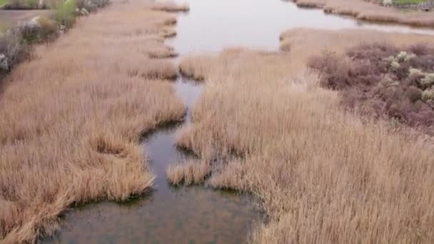 Denna Fängslande Video Ger Ett Unikt Perspektiv Att Kan Sjöns — Stockvideo