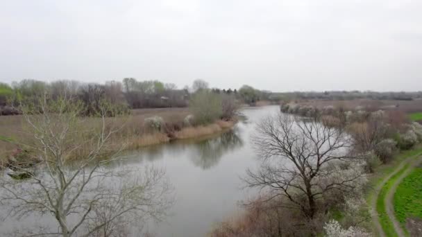Drohnenaufnahme Der Bezaubernden Schönheit Eines Flusses Der Sich Anmutig Durch — Stockvideo