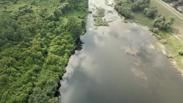 Vista Aérea Floresta Rio Floresta — Vídeo de Stock
