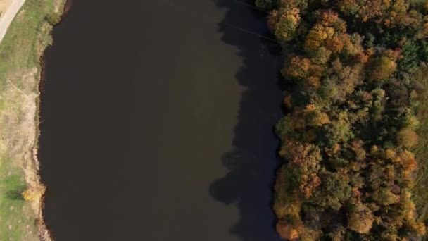 Mergulhe Beleza Lago Calmo Dia Ensolarado Outono Onde Paleta Natureza — Vídeo de Stock
