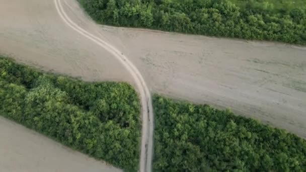 Objektiflerimiz Geniş Tarlalarda Sakin Kırsal Kesimde Yoğun Ormanlarda Dolanan Toprak — Stok video