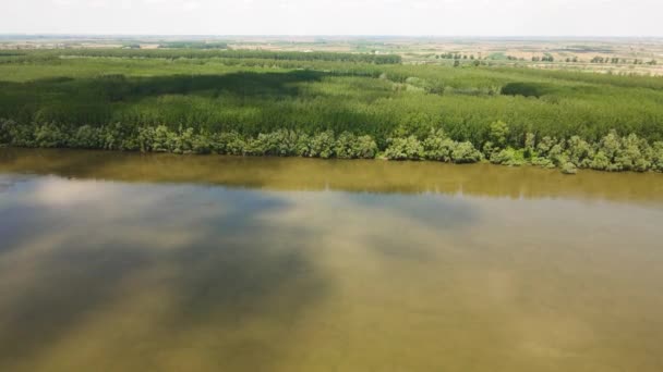 Szárnyalj Fenséges Duna Felett Ahogy Drónunk Megragadja Egy Kis Falu — Stock videók