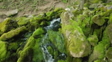 Bu yakın çekim ile kendinizi doğanın samimi güzelliğine daldırın, büyüleyici su detaylarını yakalayın nazikçe kayaların üzerinden inen ormanın göbeğindeki yemyeşil yosunlarla süslenmiş.