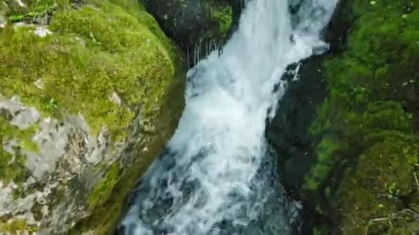 Zanurz Się Intymnym Pięknie Natury Tym Ujęciem Bliska Uchwycając Hipnotyzujący — Wideo stockowe
