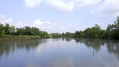 Hava aracı bulutlu bir sonbahar gününde gölün yüzeyinde uçuyor, Sırbistan 'da gölü saran yemyeşil ağaçlar ve çalılar