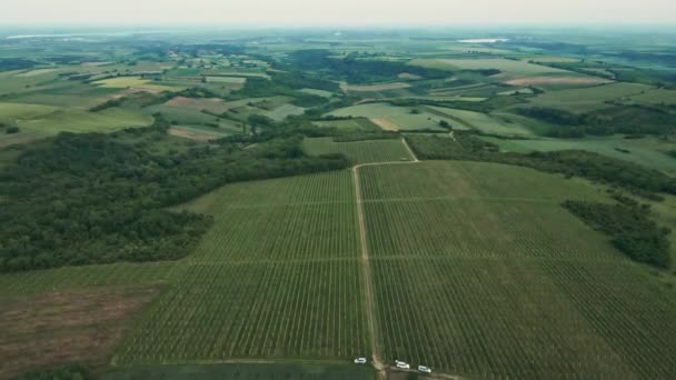 Schöne Luftaufnahme Von Bäumen Und Feldern Die Hügel Der Landschaft — Stockvideo