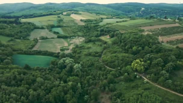 Prachtig Uitzicht Vanuit Lucht Bomen Velden Heuvels Het Platteland Servië — Stockvideo